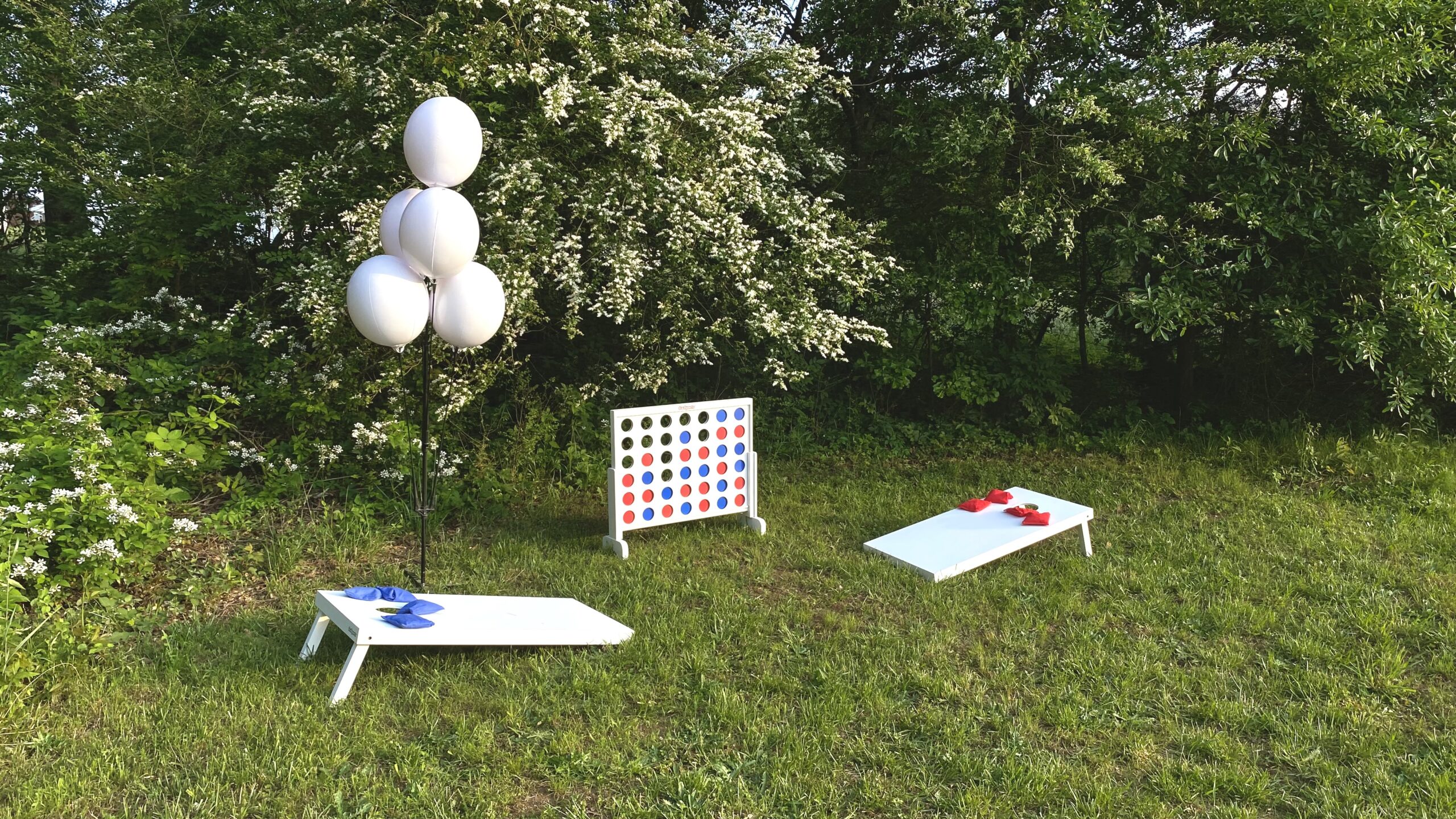 Lawn Games