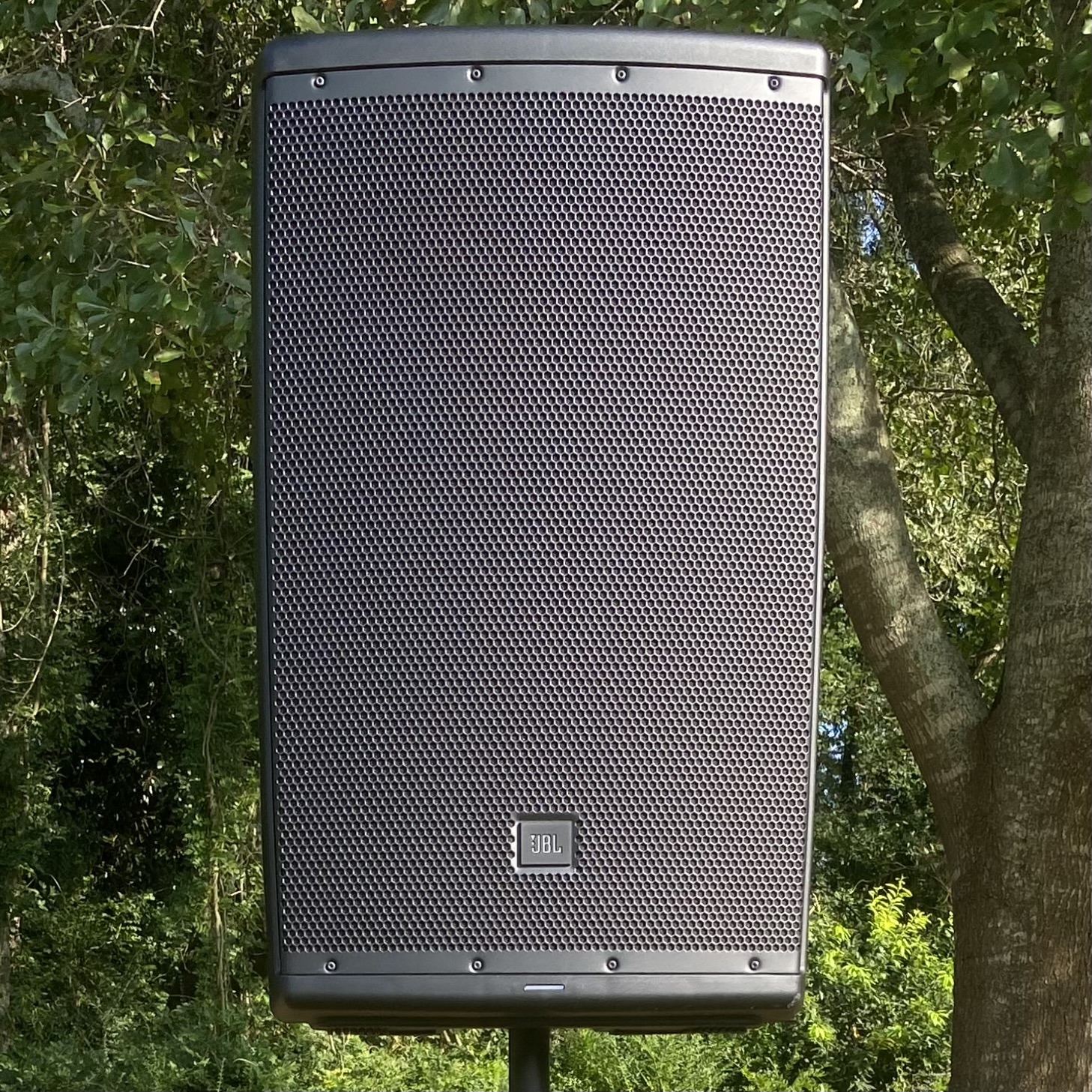 Large Speaker